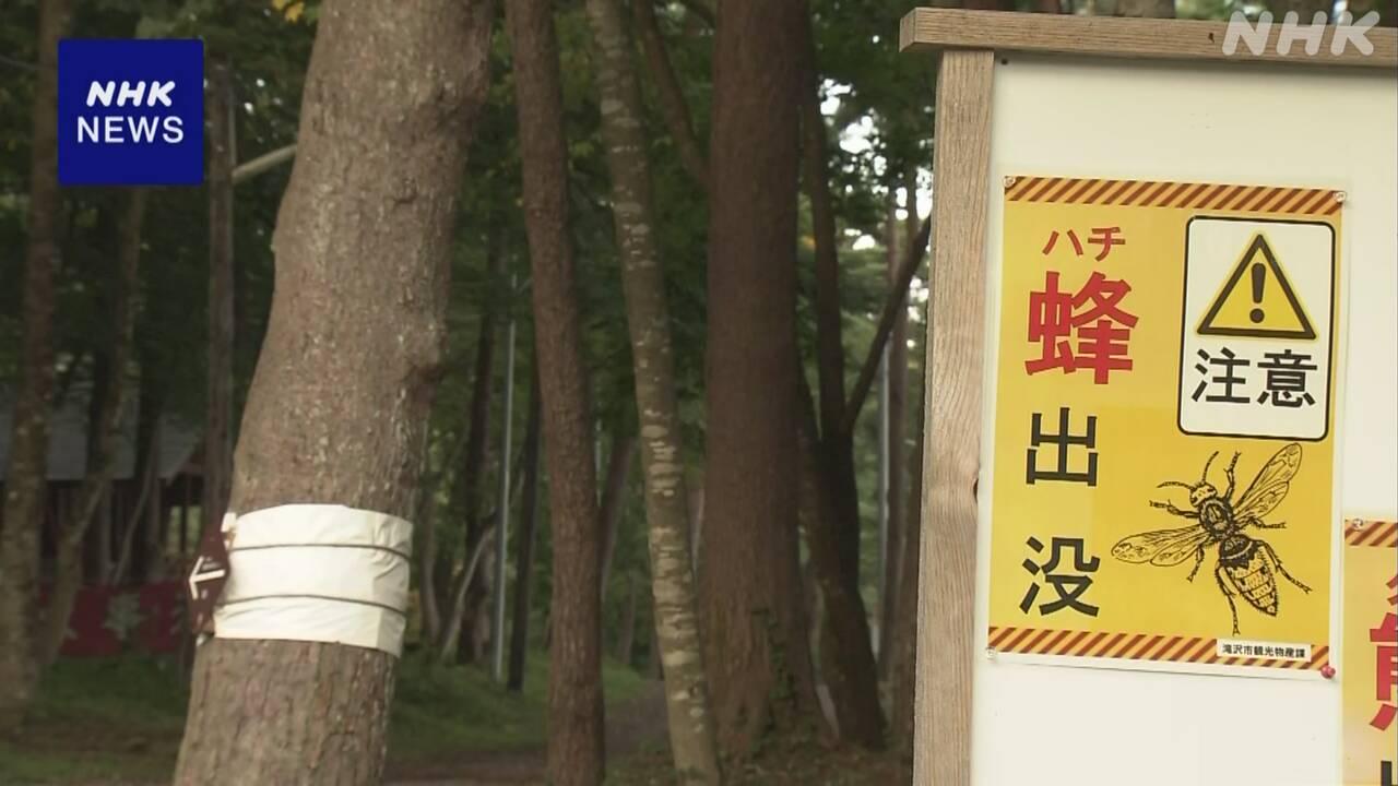 【鞍掛山】生徒教員14人がハチに刺される　岩手県滝沢市で登山中、4人病院搬送